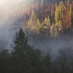 五十度飞 线上看:探索激情与禁忌的极致体验 cq9yvjb54o